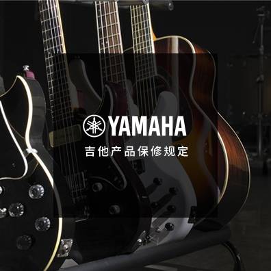 吉他、贝斯和音箱
