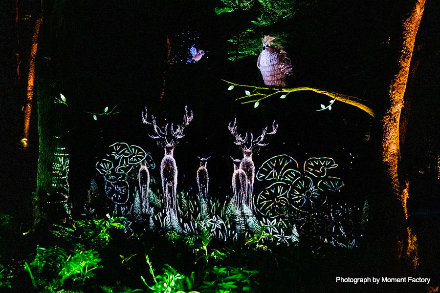 案例｜球盟会为壮观的Kamuy Lumina魔法夜行旅游项目提供配乐设备